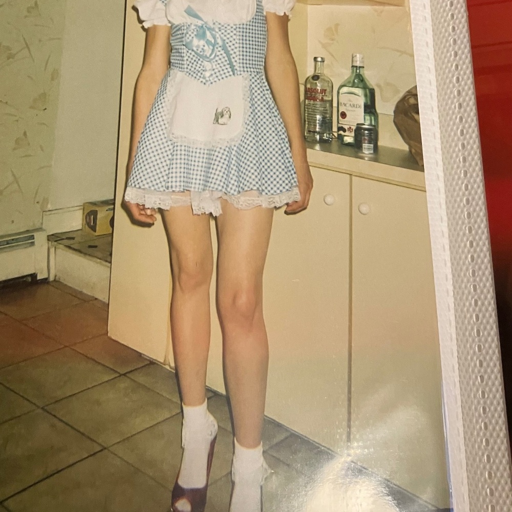 Sexy Dorothy Costume